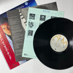 Винтажная виниловая пластинка LP Dennis DeYoung Desert Moon (Japan 1984) (Obi) (Promo)