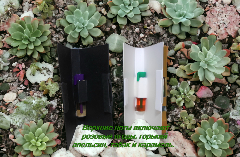 Парфюмерная вода унисекс СвеТLана Mr. Newl C&M018-00 1 ml