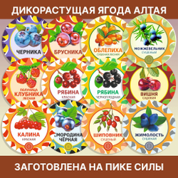 Лимонник китайский Осенний ягоды сушеные.