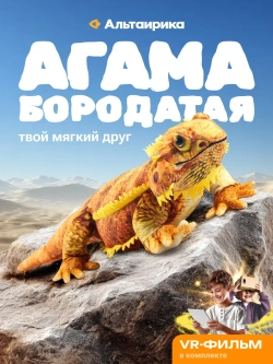 Бородатая агама