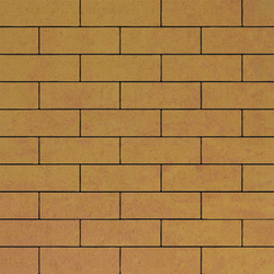 Тротуарная плитка ПРЯМОУГОЛЬНИК 300х100 мм - Листопад гладкий Сахара