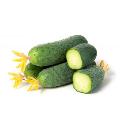 Аргумент семена огурца партенокарпического (Гавриш)