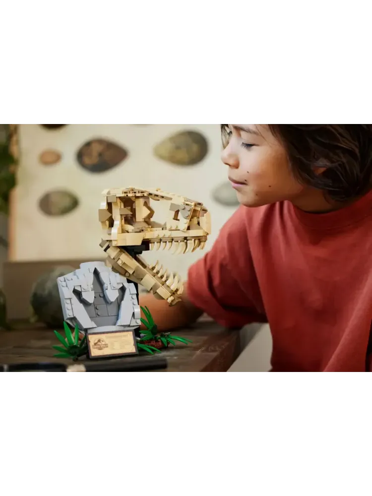 Конструктор Jurassic World 76964 Череп тираннозавра