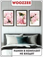 Набор постеров "Раскрытость пиона" 3шт.