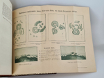 "История запорожских казаков.  В трех томах"  Д.И.Эварницкий  1897 г. - редкая книга