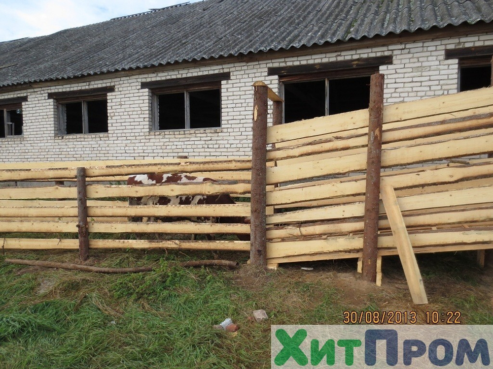 Линия убоя КРС 20 голов/смена. Ленинградская область