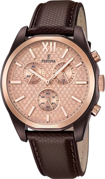 Мужские наручные часы Festina F16863/1