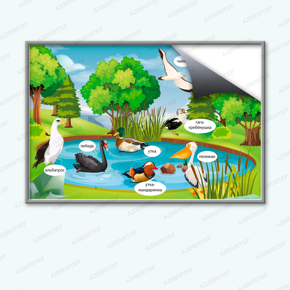 Комплект развивающий Природа: Водоплавающие птицы 2166