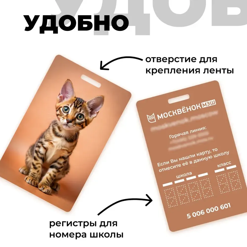 Карта Москвёнок CATS №2 (проход + питание)