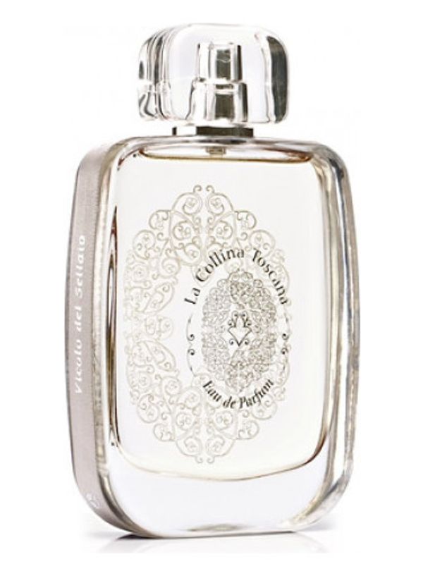 La Collina Toscana Vicolo Del Sellaio