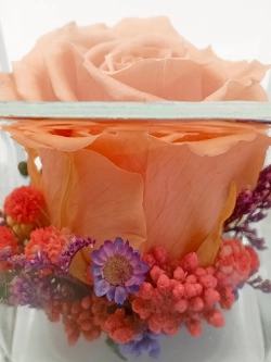 натуральная роза в стекле, вакуум*