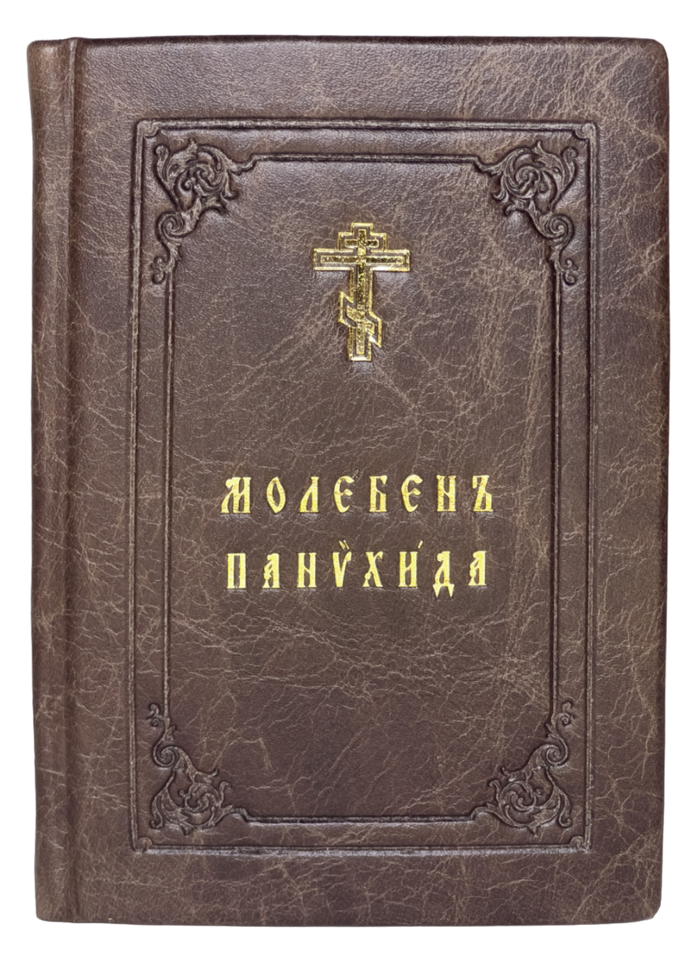 IMG_9050-PhotoRoom.png-PhotoRoom