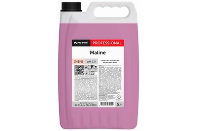 Моющее средство для туалетов, ванных и душевых Pro-brite TORA 233-5, 5 л.