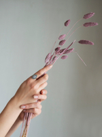 Кольцо КАПЛЯ-2 в оплетении, серебро/лунный камень