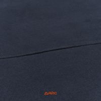  Толстовка мужская Dickies Skateboarding Logo Hoodie  артикул:TWSK0_blue - купить в магазине Дайс