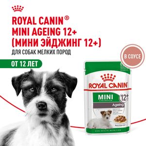 Пауч Royal Canin Mini Ageing 12+ для стареющих собак мелких размеров в возрасте старше 12 лет