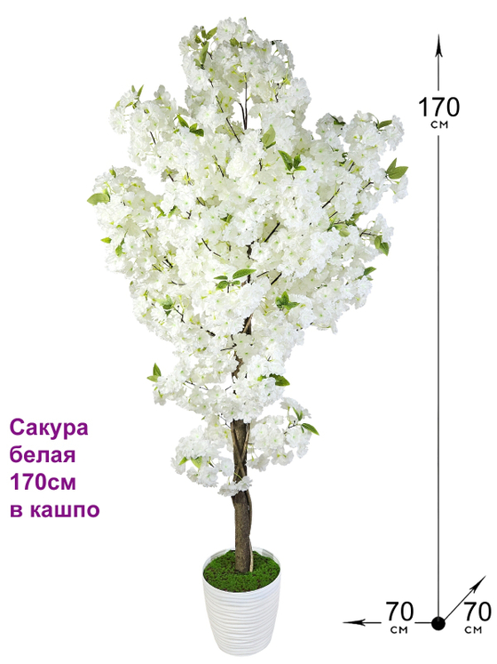 Сакура 170см белая в кашпо