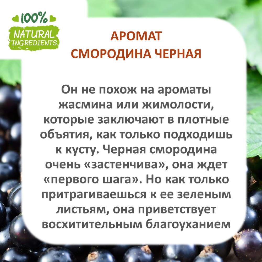 Смородина чёрная, отдушка для свечей и мыла