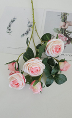 Роза кустовая