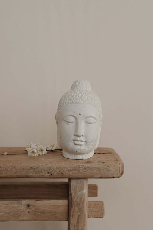 Голова Будды / Home Owner