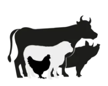 Препараты для животноводства