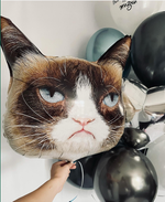 Шар Фигура Унылый кот (Сердитая Кошка)