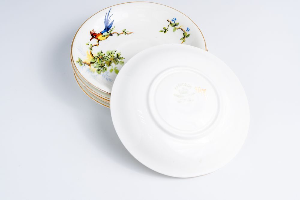 Блюдце с изображением экзотических птиц