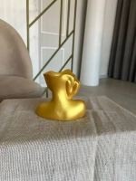 Кашпо Мечта декор для дома цветов Ваза Голова