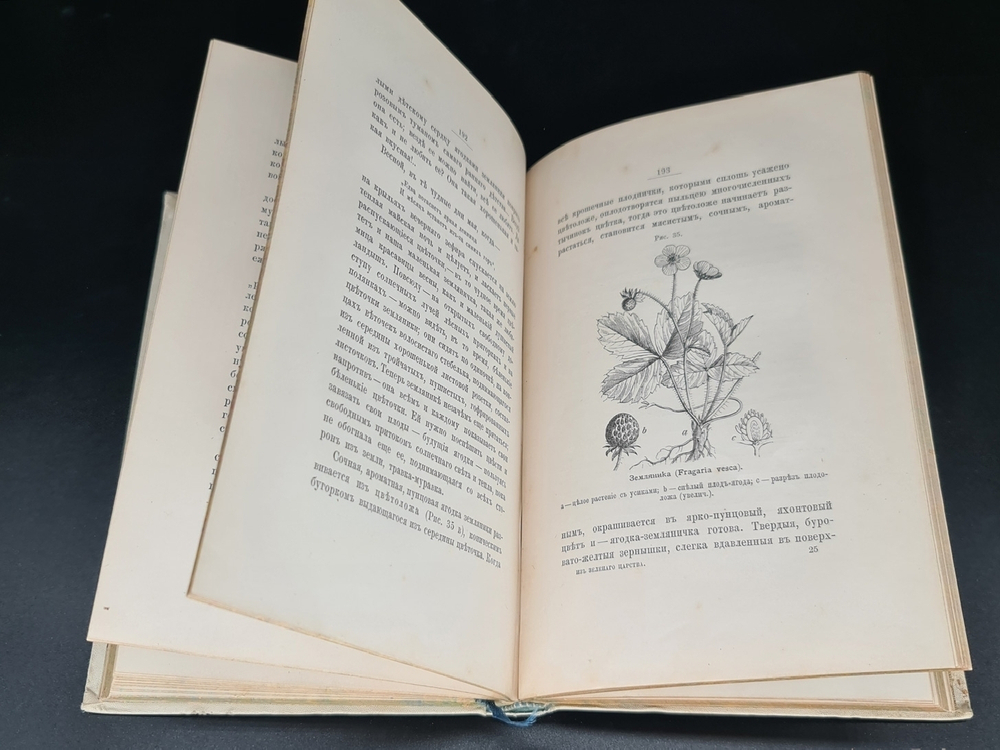 "Из зеленого царства: Популярные очерки из мира растений". Д. Кайгородов. 1888г. - антикварное издание