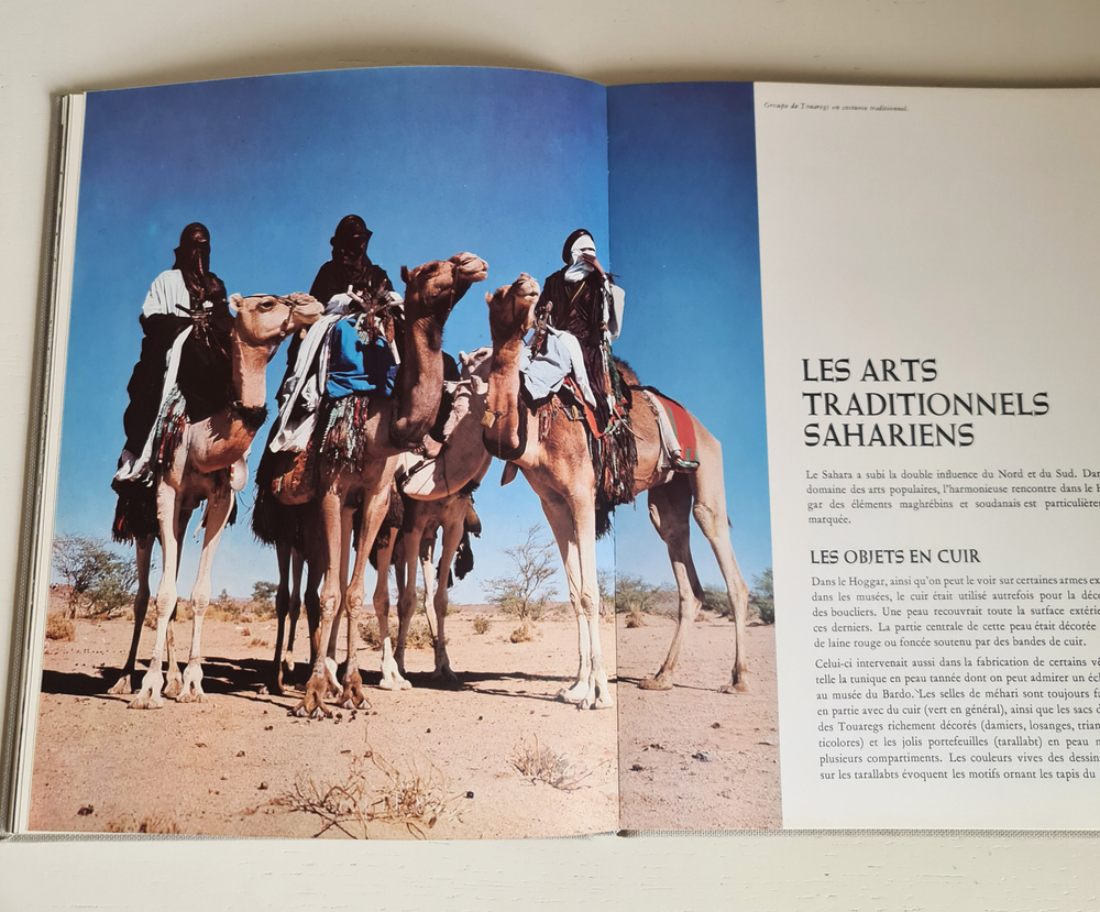 Musees D'Algerie II-L'art algerien populaire et contemporain. Tome 6