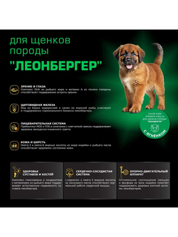 Корм сухой для щенков породы Леонбергер, премиум полнорационный комплекс, с ягненком, 12 кг, QUATTRO