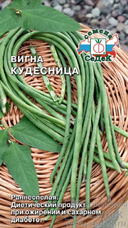 Вигна овощная Кудесница  3гр СеДеК