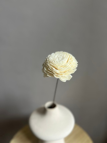 Декоративный цветок Сола