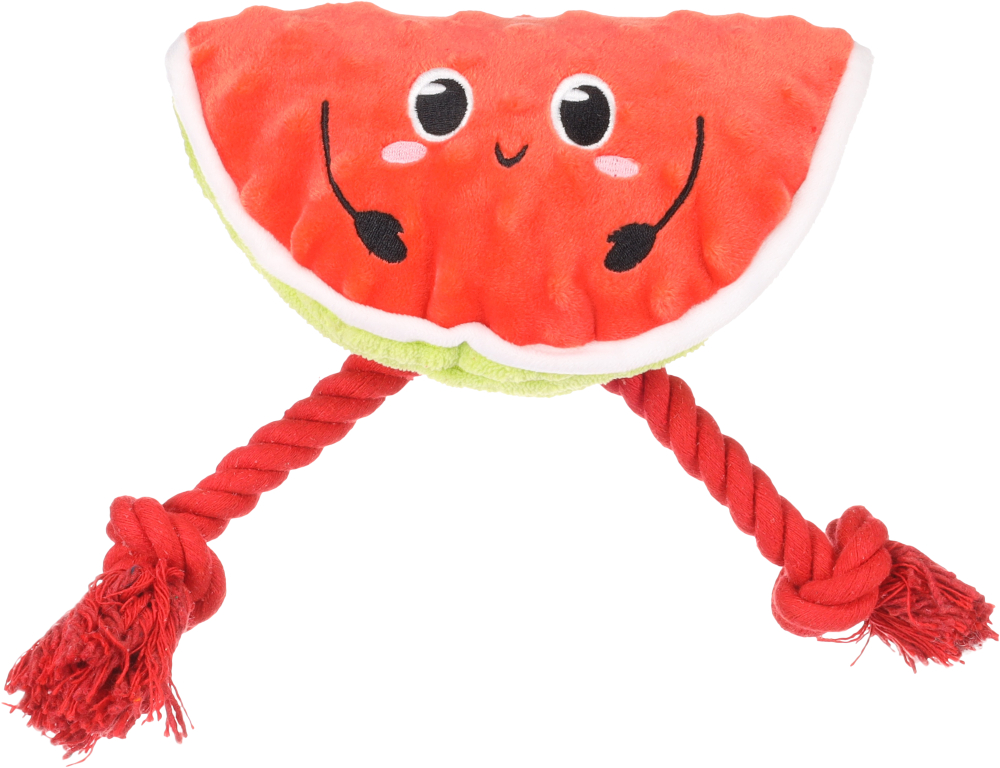 Игрушка для собак Арбуз с верёвочкой, 17 х10 х 20 см, красный, Flamingo