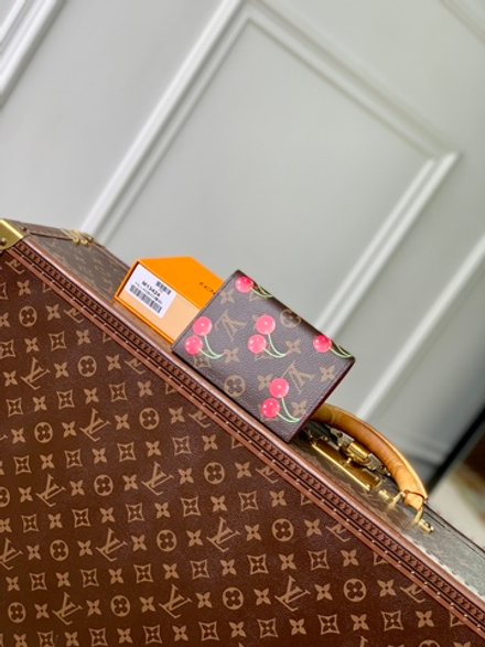 Louis Vuitton Passport Cover