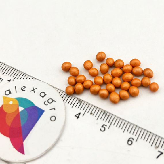 Темплин семена салата айсберг (Nunhems / ALEXAGRO) семена – фото 5