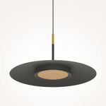 Подвесной светильник Maytoni MOD041PL-L15B3K1