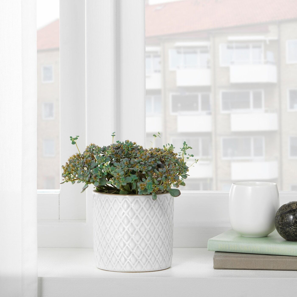 IKEA CHIAFRÖN  (ИКЕА СХИАФРÖН)  -  Простыня, белая, 9 см