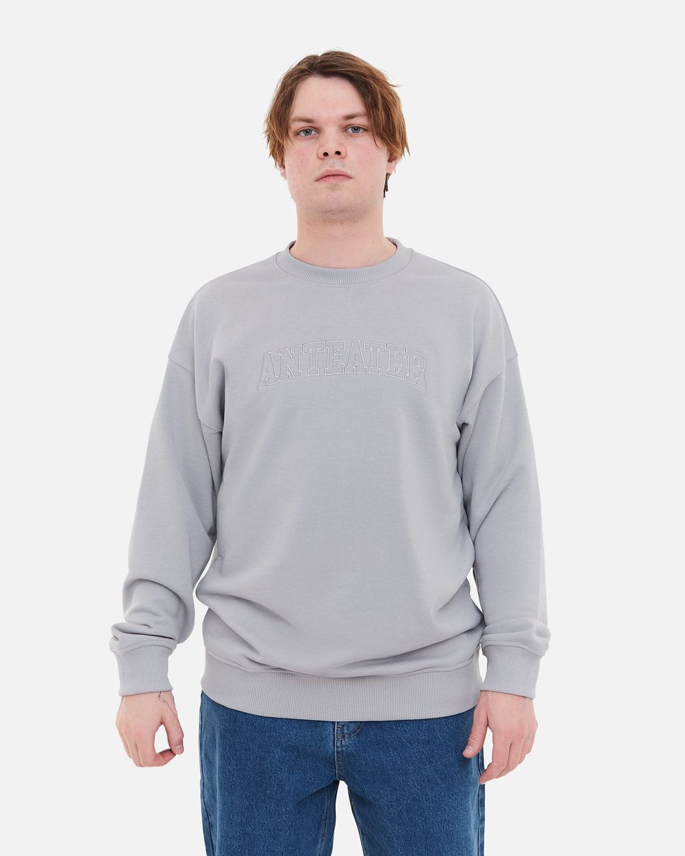 Купить Толстовка Anteater Crewneck BigText серая Толстовка Anteater Crewneck BigText серая