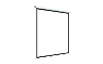 [LEP-100113] Настенный экран Lumien Eco Picture