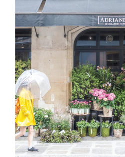 French Blooms: Floral Arrangements Inspired by Paris and Beyond