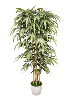 Дерево Бамбук 150см в кашпо