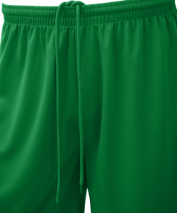 Шорты баскетбольные Camp Basic, зеленый, детский
