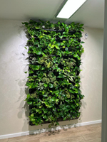 7.23. Фитостена из живых растений для клиники "Excellens". В проекте использовались фитомодули "Hydro Falls"