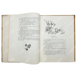 Сибирские сказки / худ. В. Фридеман и В. Болдин. 1957