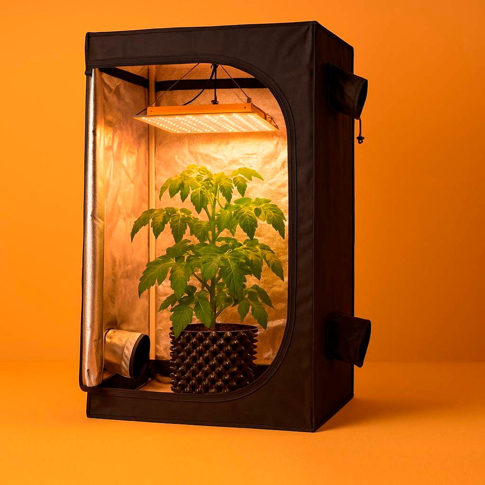 Готовый Гроубокс PROBOX Basic 80