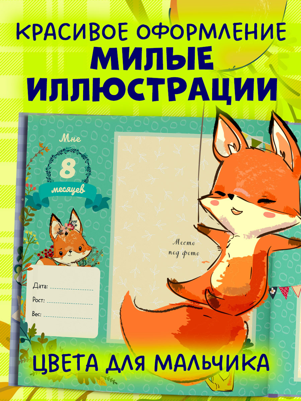 Альбом малыша. Мой первый альбом (для мальчика)