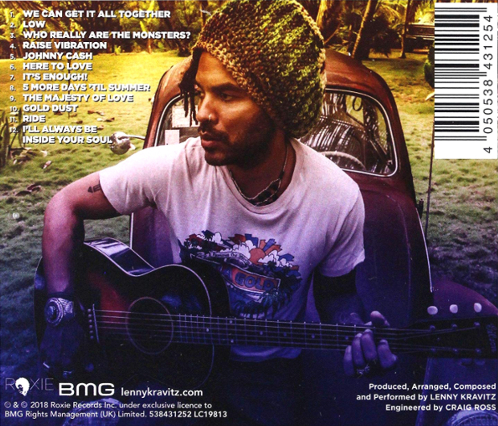 Lenny Kravitz / Raise Vibration (CD)