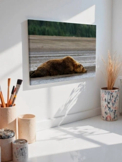 Картина на стену 40 X 50 Бурый медведь