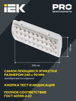 Светильник аварийного освещения IEK LDPA0-2101-4-65-K01
